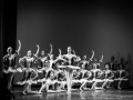 _DAV8116 copia
